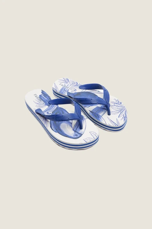 Chinelo Rainbow
